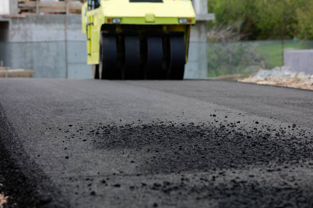 Best Decorative Driveway Pavers  in Westwood Lakes, FL